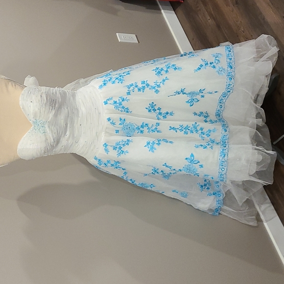 Alyce prom dress - Picture 1 of 10